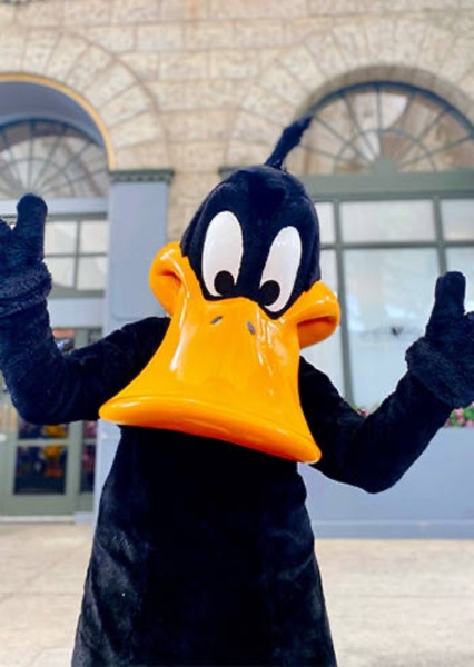 Daffy Duck photo