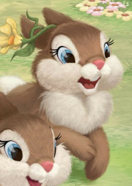 Daisy (Disney Bunnies) photo