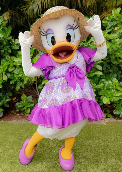 Daisy Duck photo