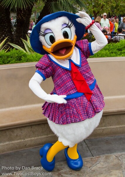Daisy Duck photo