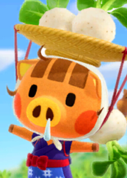 Daisy Mae (Animal Crossing) photo