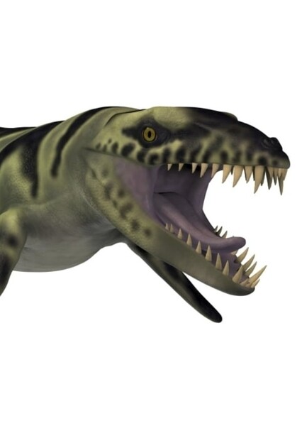 Dakosaurus photo