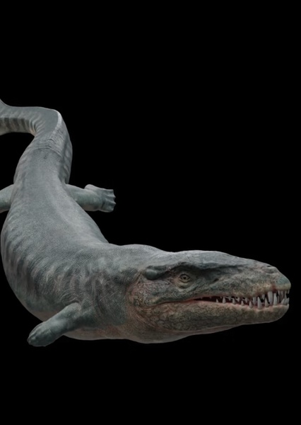 Dakosaurus photo
