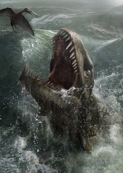 Dakosaurus