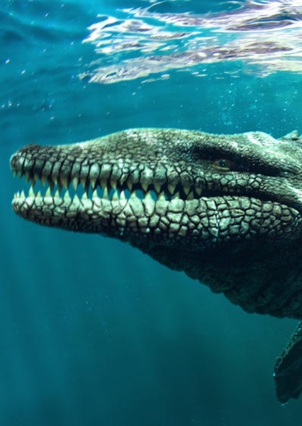 Dakosaurus photo