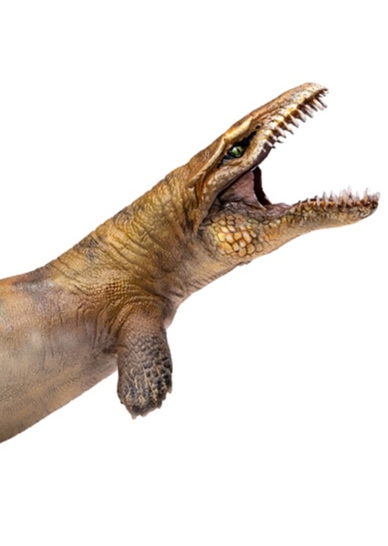 Dakosaurus photo
