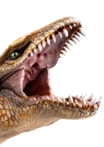Dakosaurus photo