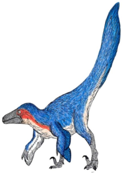 Dakotaraptor photo