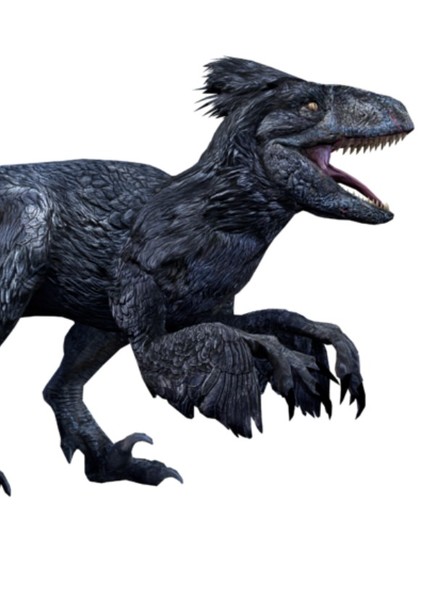 Dakotaraptor photo