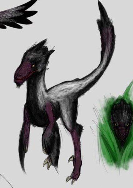Dakotaraptor photo