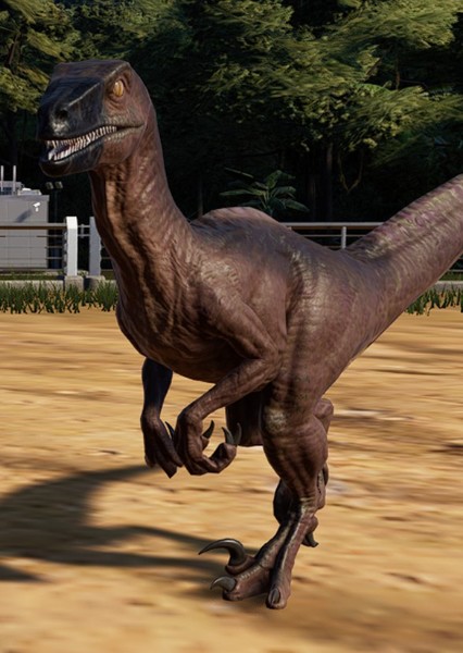 Dakotaraptor photo