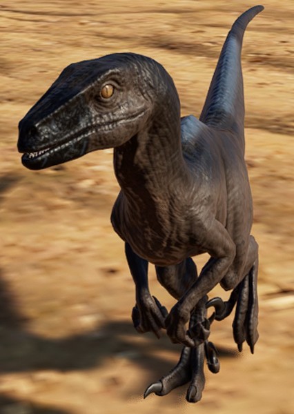 Dakotaraptor photo