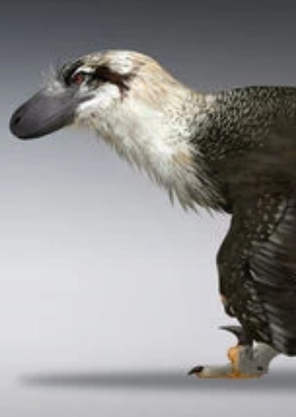 Dakotaraptor (Saurian)