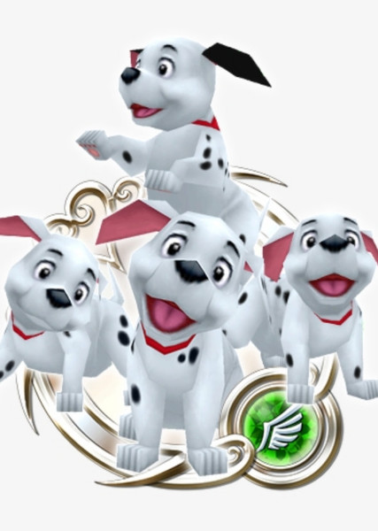 Dalmatian Puppies photo