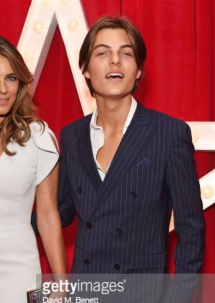 Damian Hurley photo