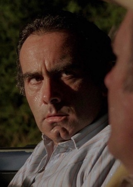 Dan Hedaya photo