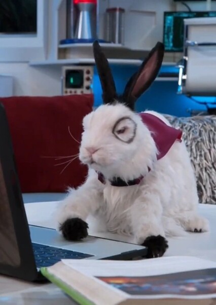 Hoppy The Bunny
