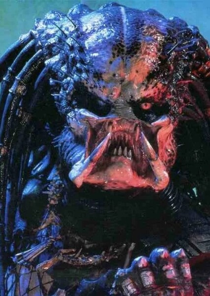 Predator