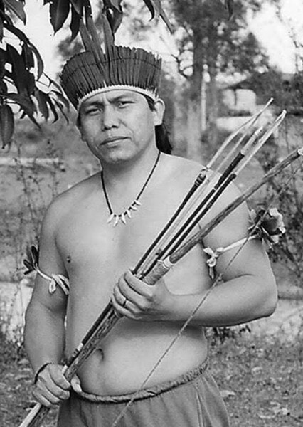 Daniel Munduruku photo