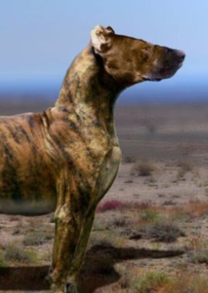 Daphoenodon