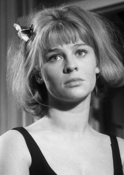 Darling (1965) photo