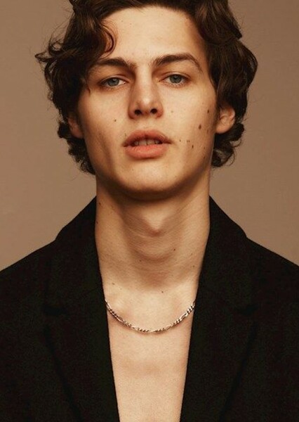Darwin gray photo