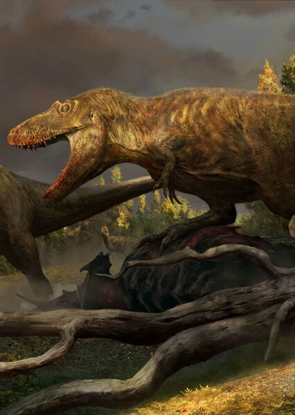 Daspletosaurus photo