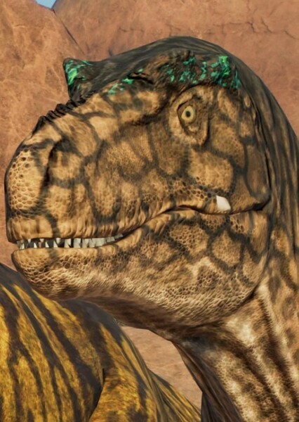 Daspletosaurus photo