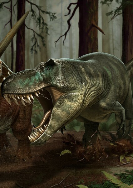 Daspletosaurus photo