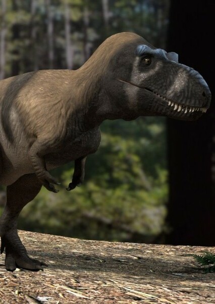 Daspletosaurus photo