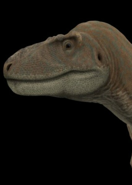 Daspletosaurus photo