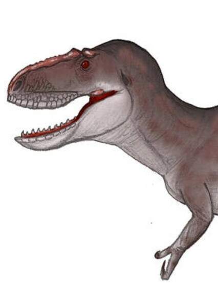 Daspletosaurus photo