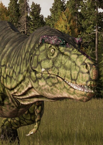Daspletosaurus photo