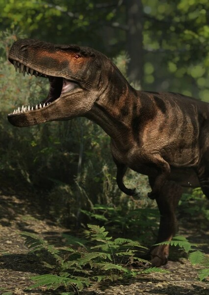 Daspletosaurus photo