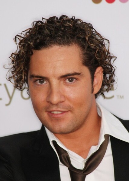 David Bisbal photo