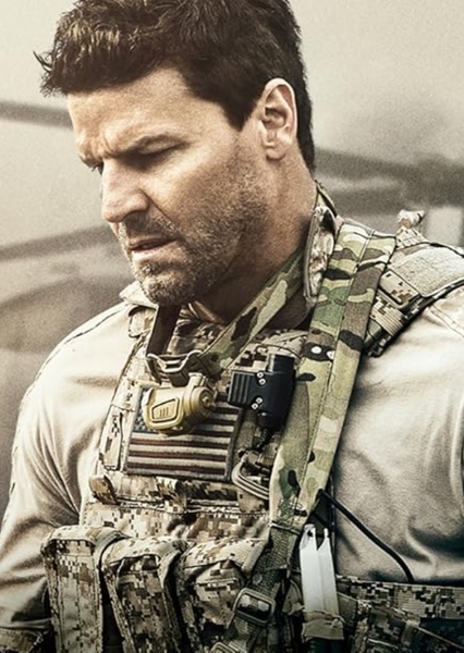 David Boreanaz photo