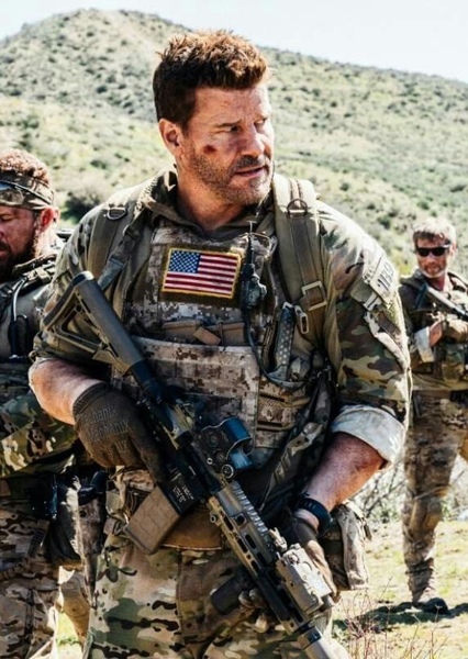 David Boreanaz photo