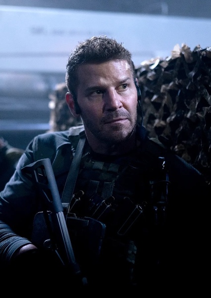 David Boreanaz photo