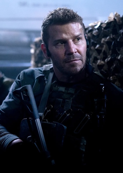 David Boreanaz photo