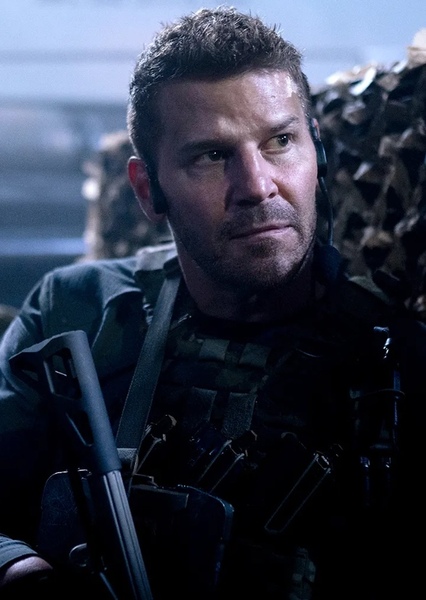David Boreanaz photo