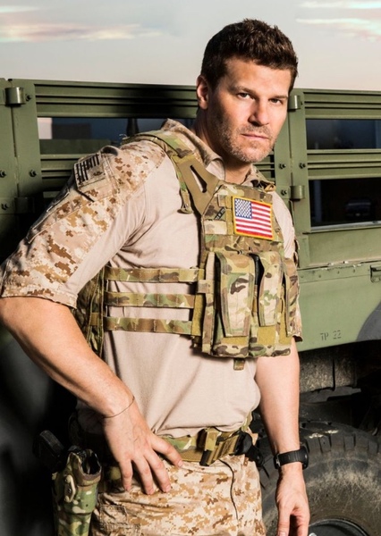 David Boreanaz photo