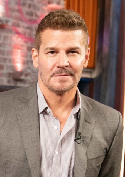 David Boreanaz photo