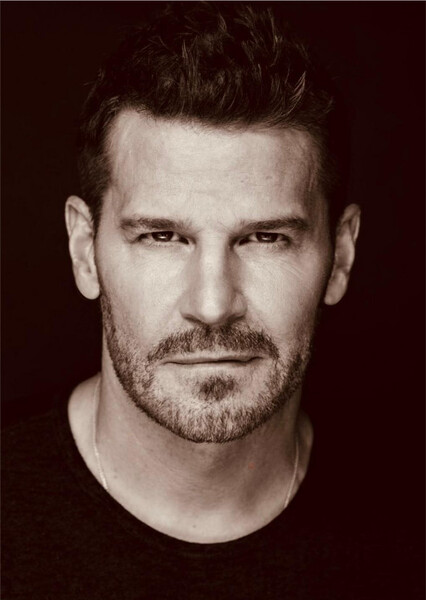 David Boreanaz photo