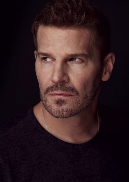 David Boreanaz photo