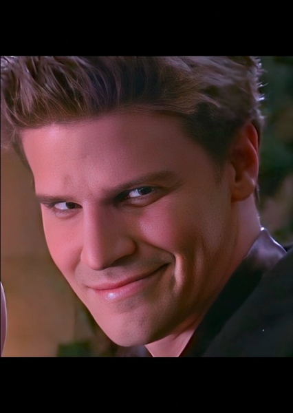 David Boreanaz photo