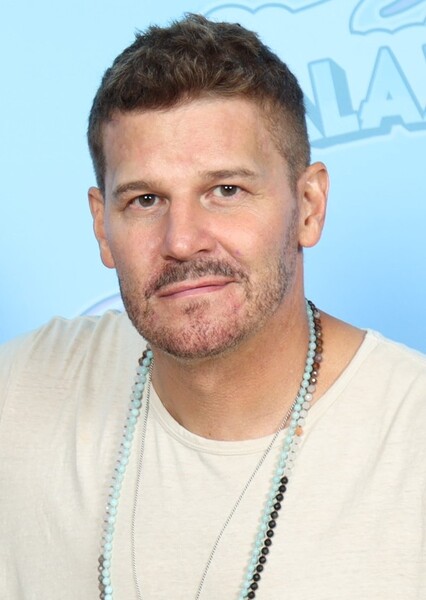 David Boreanaz photo