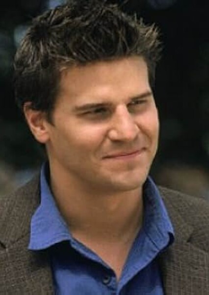 David Boreanaz photo
