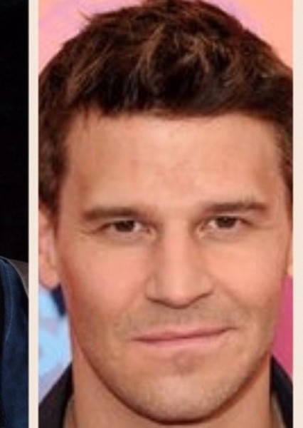 David Boreanaz photo