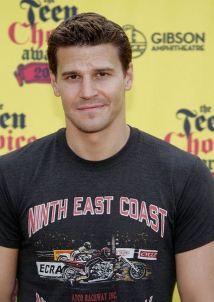 David Boreanaz