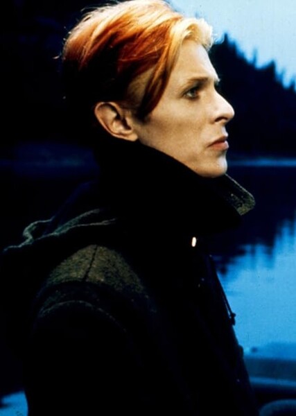 David Bowie